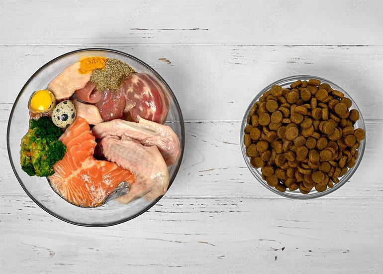 Diferencias entre Comida Seca y Dieta BARF para Perros