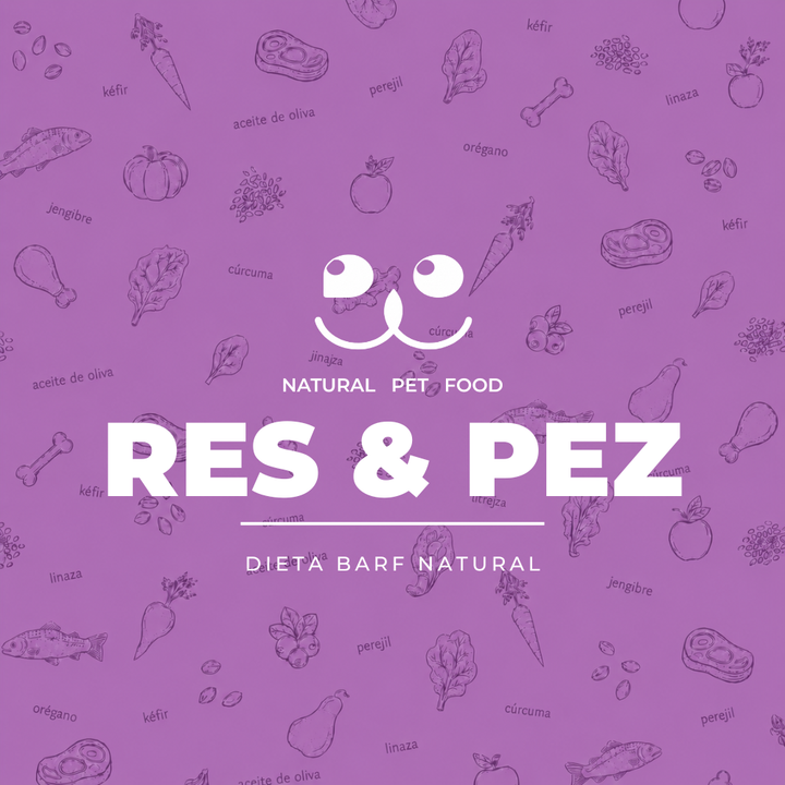 Portada morada de Bocado Natural Pet Food para la línea "Res & Pez", dieta BARF natural, con logo del perro e ilustraciones de ingredientes como pollo, zanahoria, espinaca, kéfir y cúrcuma de fondo.